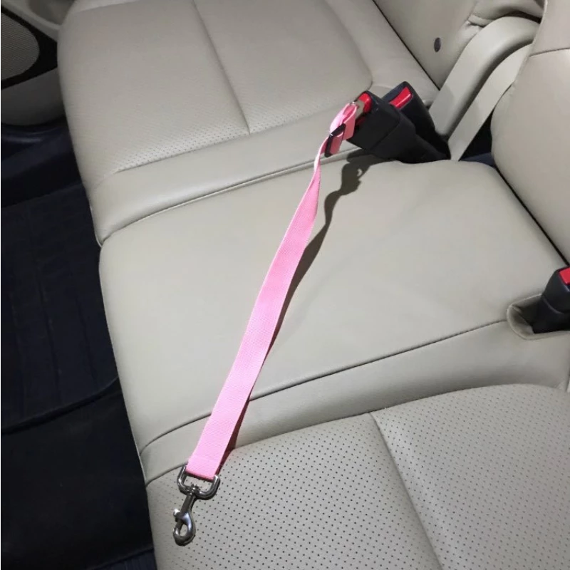 Pet Seat belt